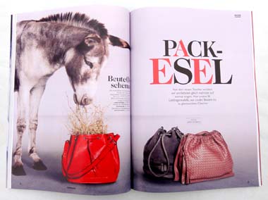 Asinella Eselshop Cosmopolitan